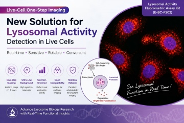 Live-Cell One-Step Imaging New Solution for Lysosomal Activity Detection in Live Cells - cover
